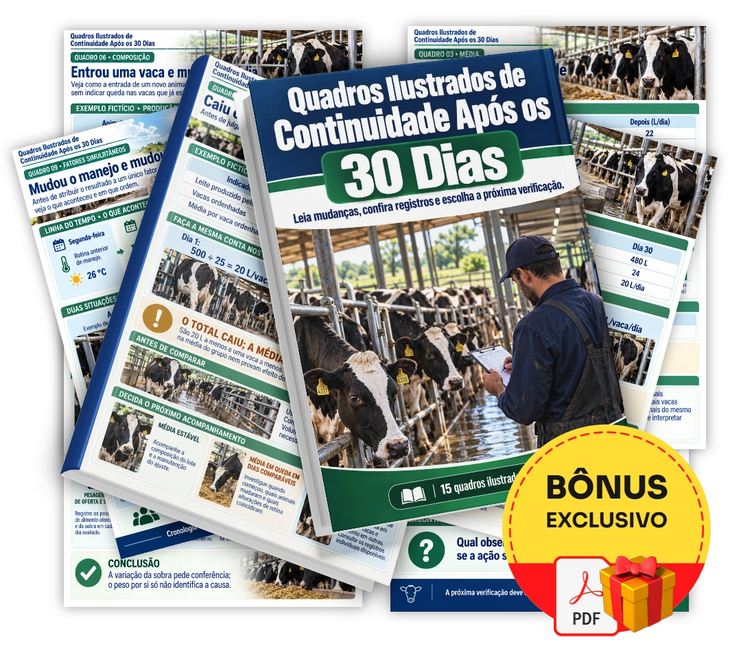 Quadros Ilustrados de Continuidade Após os 30 Dias
